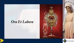 Samozvanim braniteljima Katoličke Crkve iliti kako ego zle ljude učini glupima